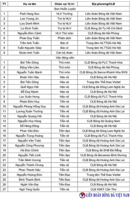 Tuyển Việt Nam - ảnh 1