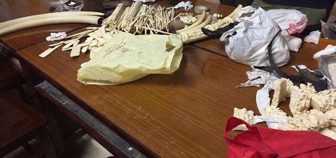 Khởi tổ “Đầu sỏ” Nguyễn Mậu Chiến trong đường dây buôn bán động vật quý hiếm - ảnh 1