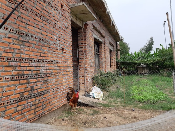 Cận cảnh trường học trăm tỷ biến thành trại gà hoang hoá - ảnh 5