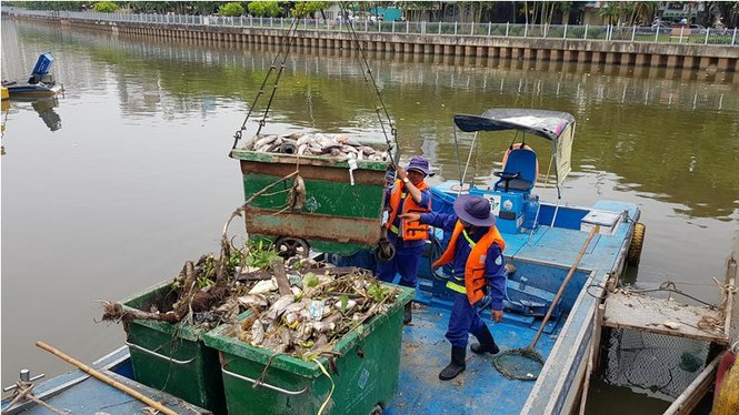 Cá chết nổi trắng kênh ở Sài Gòn sau mưa đầu mùa - ảnh 2