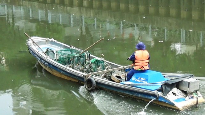 Cá lại chết nổi trắng kênh Nhiêu Lộc - Thị Nghè sau mưa - ảnh 5