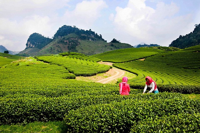 Tết dương lịch nghỉ 4 ngày đi chơi đâu gần Hà Nội? - ảnh 1