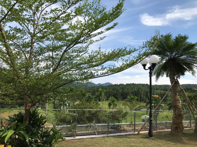 Khai trương tòa nhà 'xanh nhất hành tinh' Forest in the Sky - ảnh 1