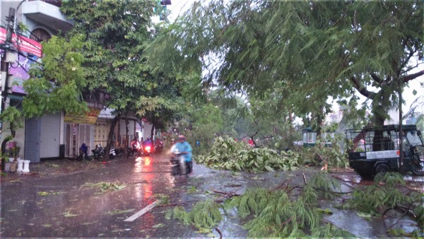 Hà Nội mưa lốc kinh hoàng, giao thông tê liệt - ảnh 36