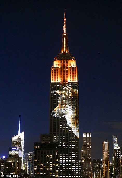 ‘Vua sư tử’ Cecil được tưởng nhớ trên tòa nhà Empire State - ảnh 7