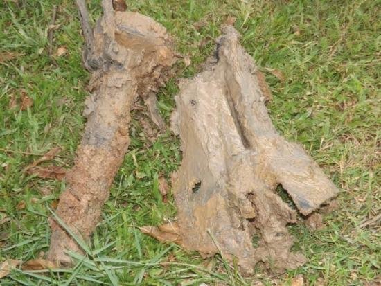 Phát hiện quả tên lửa nằm sâu 4m dưới đất ở Nghệ An - ảnh 3