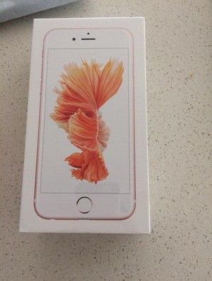 Chiếc iPhone 6S đầu tiên trên thế giới đã có chủ - ảnh 2