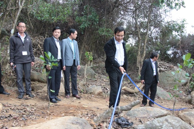 Vụ xâm hại rừng Sơn Trà: Cách chức Hạt trưởng, Hạt phó kiểm lâm - ảnh 1