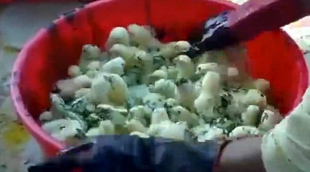 Hãi hùng công nghệ nhuộm gà con thành bảy sắc cầu vồng - ảnh 1