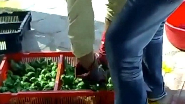 Hãi hùng công nghệ nhuộm gà con thành bảy sắc cầu vồng - ảnh 4
