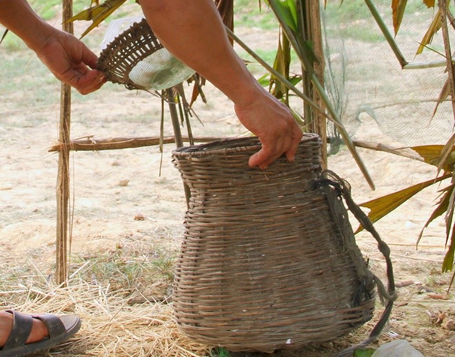 Mục kích 'trận địa' vây bắt chim én - ảnh 7