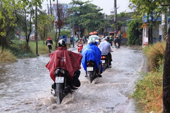 Người Sài Gòn lội bì bõm sau cơn mưa đầu mùa - ảnh 1