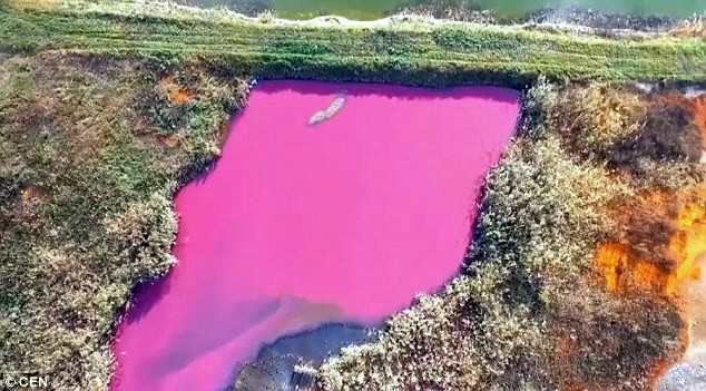 Người dân hốt hoảng vì hồ nước chuyển màu hồng sau một đêm - ảnh 1