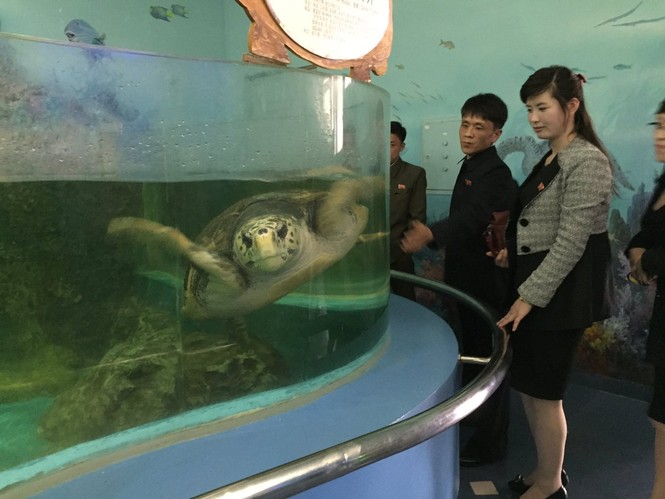 Nữ binh sĩ Triều Tiên gây chú ý với ảnh ‘selfie’ cùng phóng viên - ảnh 12