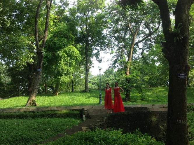 Minh Hạnh: 'Muốn đánh thức vẻ đẹp bị lãng quên của Hà Nội' - ảnh 3