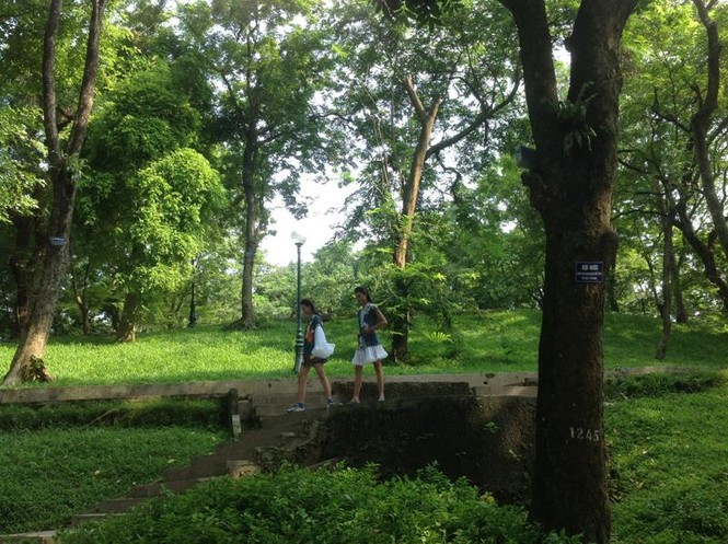 Minh Hạnh: 'Muốn đánh thức vẻ đẹp bị lãng quên của Hà Nội' - ảnh 4