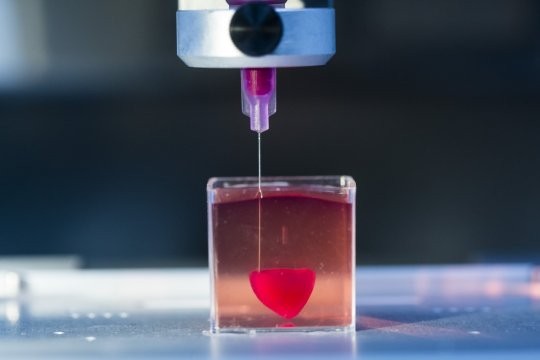 in 3D tim người công nghệ cấy ghép Israel - ảnh 1