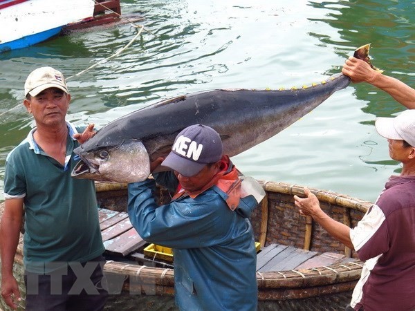 Thủy sản Việt Nam phòng chống IUU xuất khẩu biển Đông - ảnh 1