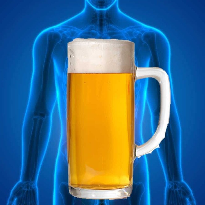 hội chứng tự sinh rượu ABS không uống cũng say nấm men - ảnh 1