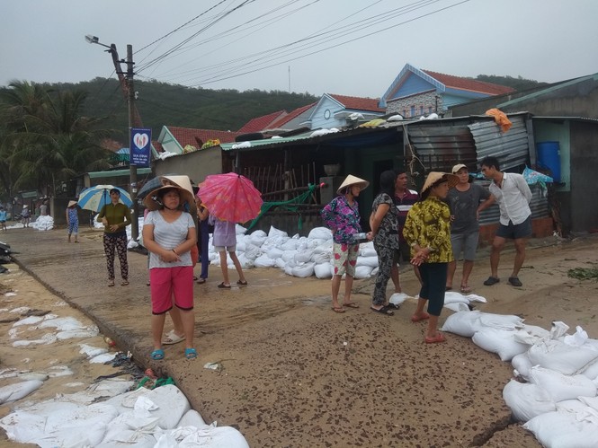 Quảng Ngãi: Lốc xoáy sau bão quật tung mái hơn 400 ngôi nhà ở Mộ Đức - ảnh 17