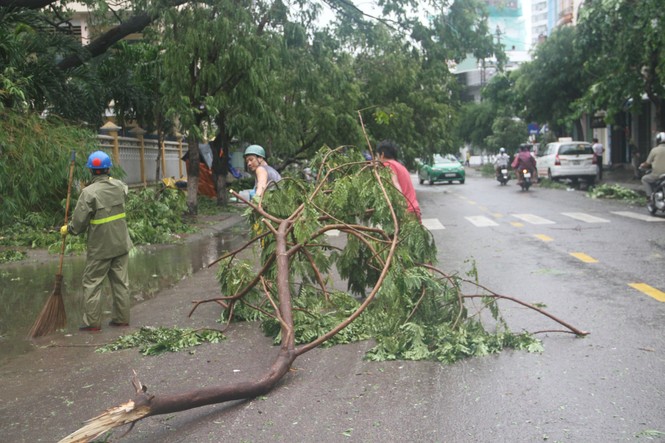 Thành Phố Quy Nhơn ngổn ngang sau bão - ảnh 9