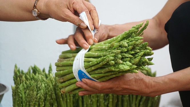 Thu nhập tiền triệu mỗi ngày nhờ trồng măng tây công nghệ cao - ảnh 9