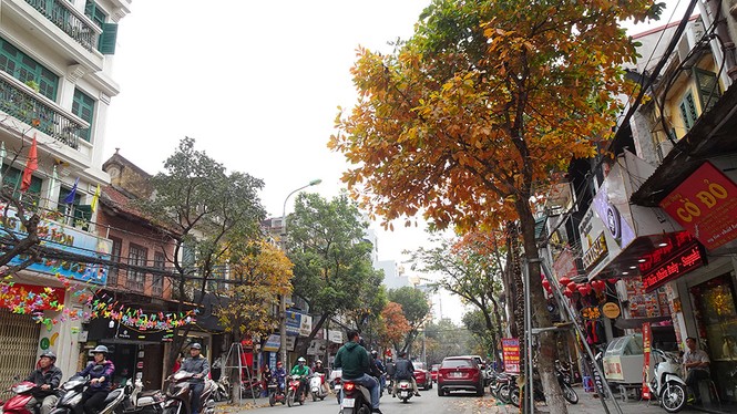 Hà Nội đẹp mơ màng, lãng mạn như phim vào mùa cây thay lá - ảnh 16