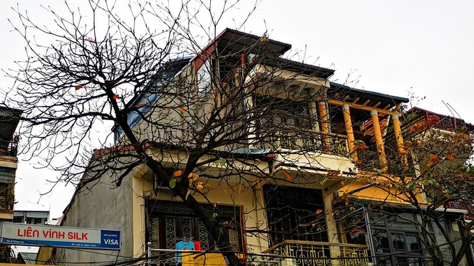 Hà Nội đẹp mơ màng, lãng mạn như phim vào mùa cây thay lá - ảnh 19
