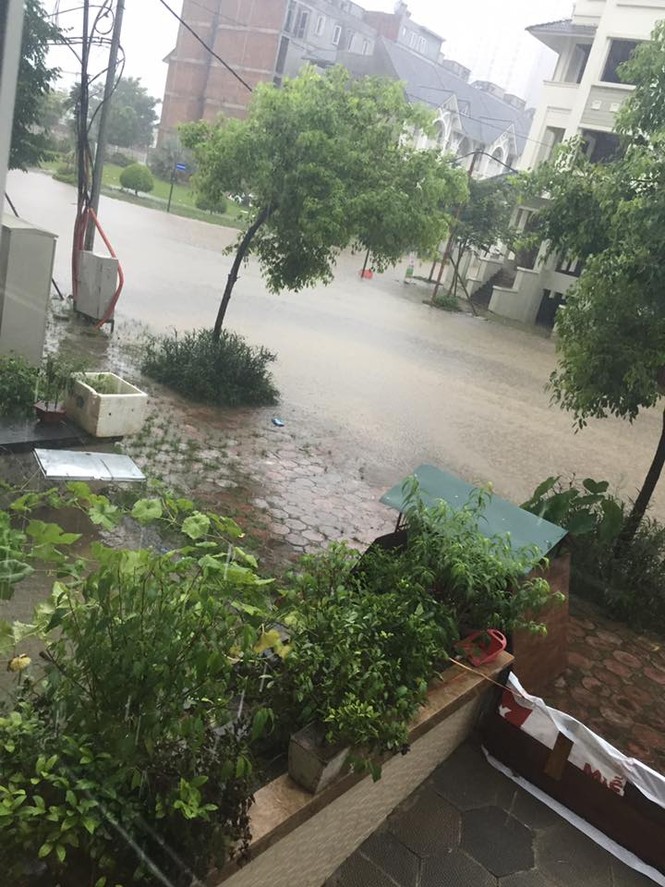 Cư dân biệt thự triệu đô lại “rẽ sóng ra khơi” sau mưa - ảnh 4