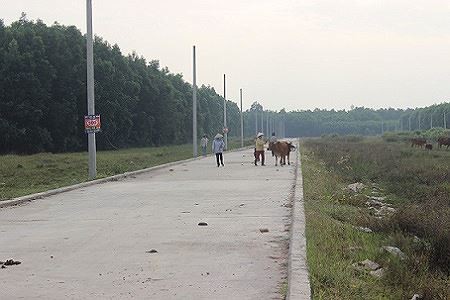 Sau lùm xùm bán dự án...'bánh vẽ', Địa ốc Alibaba lại bị thanh tra 'sờ gáy' - ảnh 1