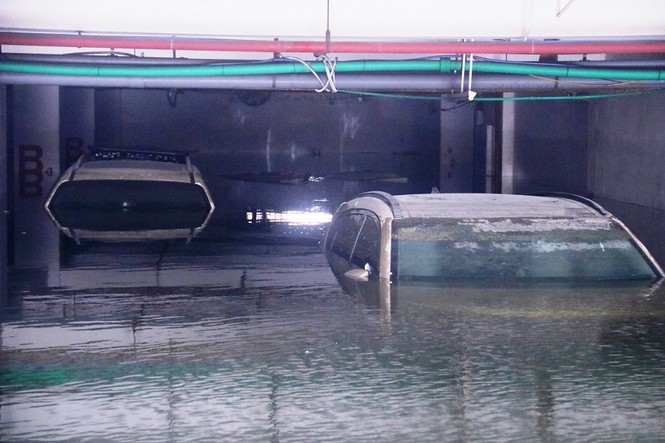 Dân chung cư cao cấp Đà Nẵng bơi bì bõm trong tầng hầm tìm xe - ảnh 11