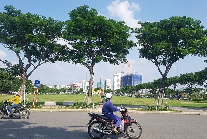 Chủ tịch Đà Nẵng khuyên DN đưa ra tòa vụ hủy đấu giá đất 'vàng' 700 tỷ - ảnh 2