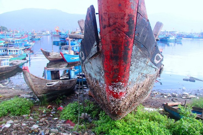 Ngổn ngang 'nghĩa địa' tàu cá xả bản ở Đà Nẵng - ảnh 3