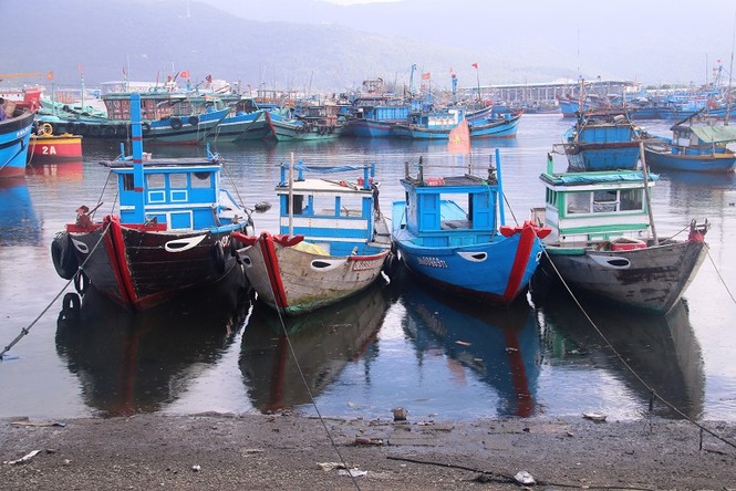 Ngổn ngang 'nghĩa địa' tàu cá xả bản ở Đà Nẵng - ảnh 13