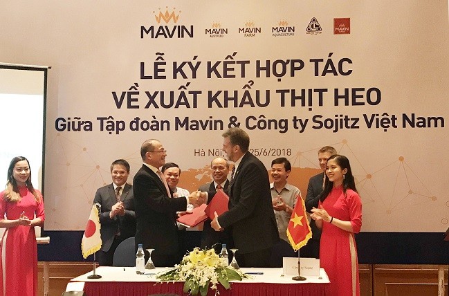 Việt Nam lần đầu xuất khẩu chính ngạch thịt lợn tươi - ảnh 1
