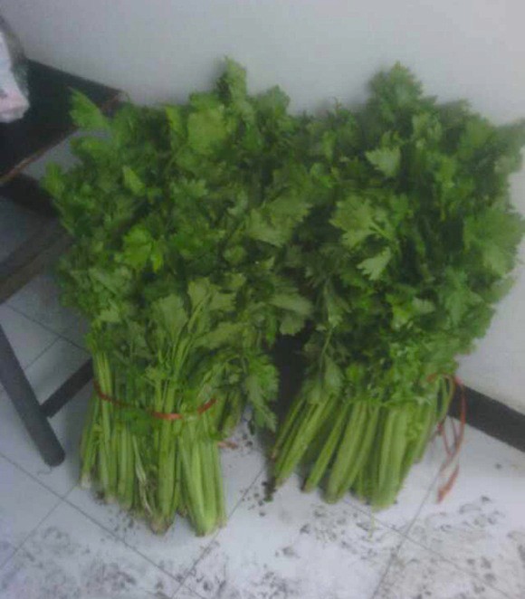Thưởng Tết: Xe hơi, vàng miếng, và... quan tài - ảnh 4