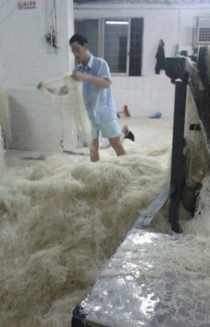 Kinh hãi cảnh sản xuất mỳ sợi ở Trung Quốc - ảnh 3