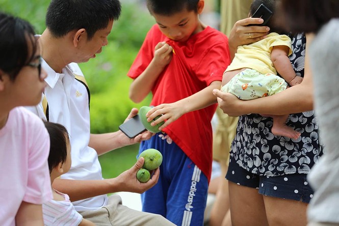 {title} hoa quả Việt,đặc sản Việt,xoài,Hà Nội