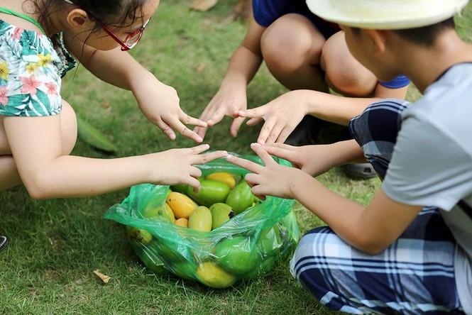 {title} hoa quả Việt,đặc sản Việt,xoài,Hà Nội