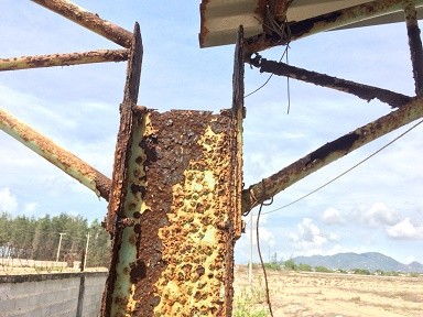 Hàng loạt dự án 'ôm đất' rồi bỏ hoang ở Bà Rịa- Vũng Tàu - ảnh 4