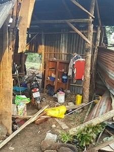 Voi rừng liên tiếp phá hoa màu, nhà cửa ở Đồng Nai - ảnh 4