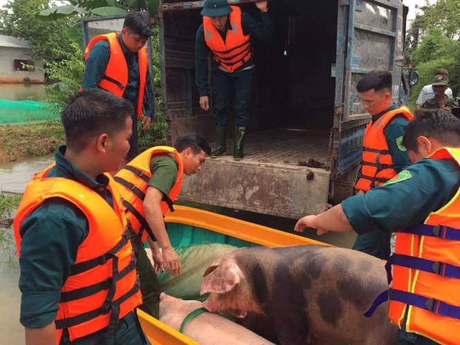 Thủy điện tăng cường xả lũ, hàng trăm ngôi nhà ngập trong biển nước - ảnh 5