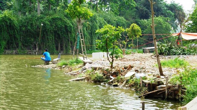 'Bức tử' ao hồ giữa Thủ đô, trách nhiệm thuộc về ai? - ảnh 1