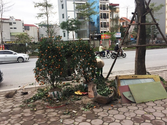 Công nhân môi trường nhọc nhằn dọn dẹp đào, quất sau Tết - ảnh 4