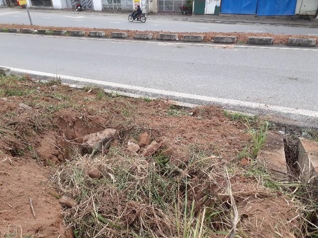 Đào hàng loạt hố, chôn lấp rác vào thân đê sau chỉnh trang - ảnh 3
