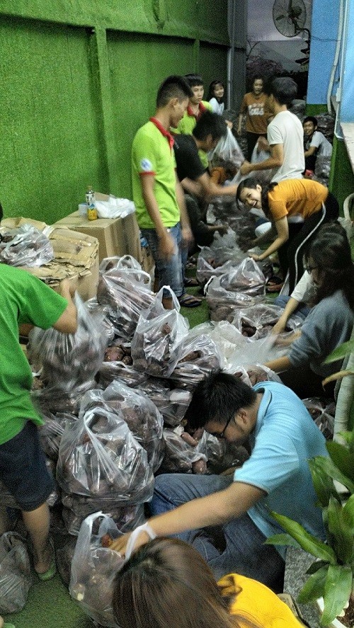 Sinh viên Sài Gòn giải cứu khoai lang giúp người dân Tây Nguyên - ảnh 1