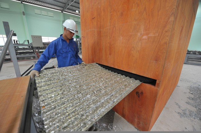Vinamilk tổ chức ngày hội môi trường: “Đổi vỏ hộp sữa lấy cây xanh” - ảnh 3