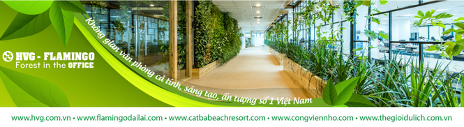 Triển lãm 'Nghệ thuật trong rừng': 'Chốn đi về' lý tưởng - ảnh 1