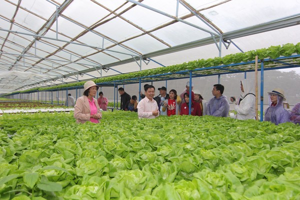 Tham quan Trạm trung chuyển rau quả Đà Lạt của MM Mega Market - ảnh 1