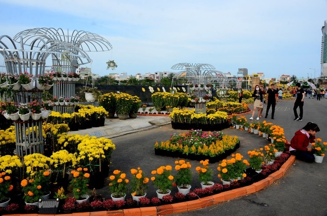 Du lịch xứ “Hoa vàng cỏ xanh” mở đầu năm mới đầy ấn tượng - ảnh 2